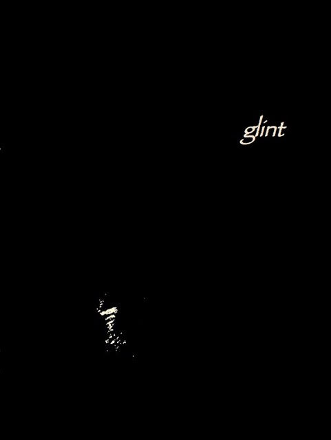 glint cover